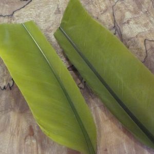 Duck Quills